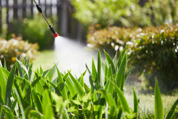 24/7 Emergency Mosquito Control experts in Lemoyne, PA